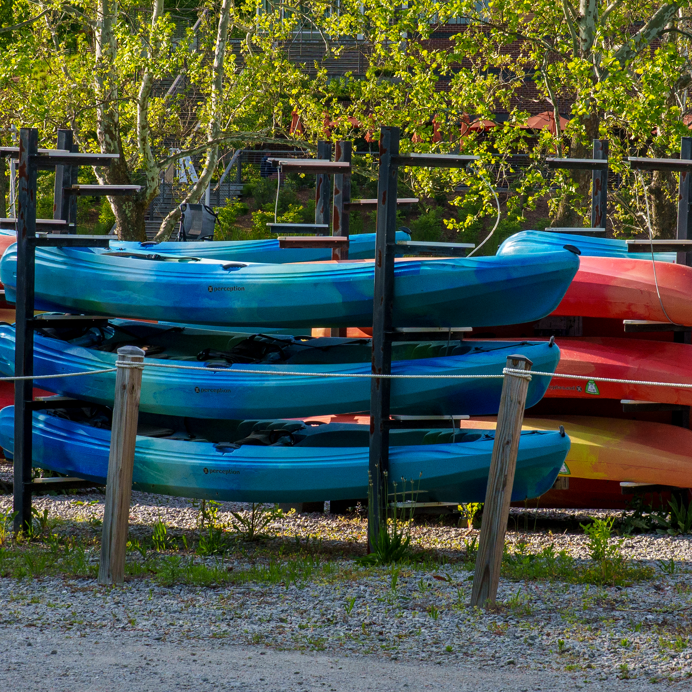Stack of Kayaks